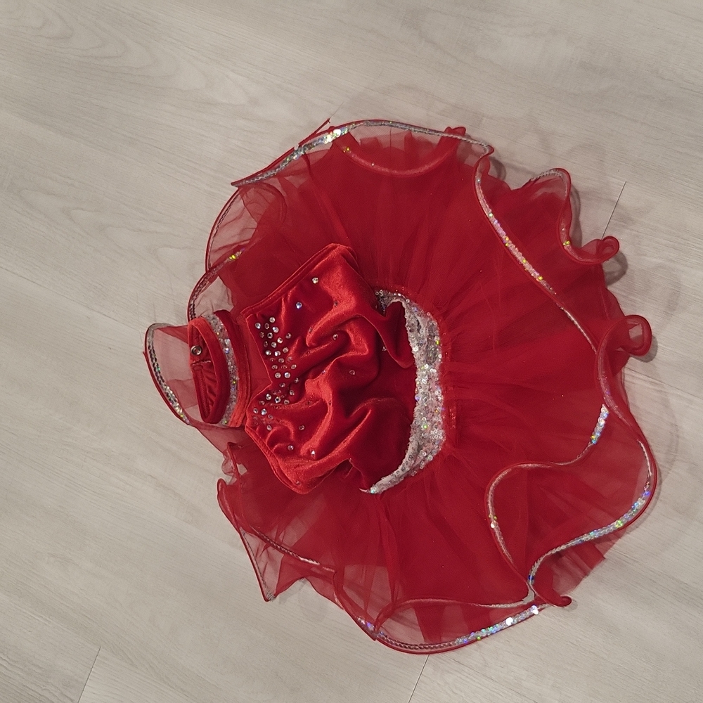 Absolutely stunning ballerina custom made residual tutu dress